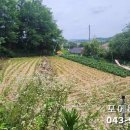 청주투자닷컴공인중개사사무소 이미지