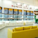 인천고양이분양 테디럽 이미지