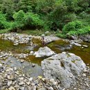 내장산국립공원 내장야영장 이미지