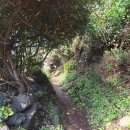 서광서리 이미지