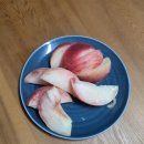 도원농원 | 2025 복숭아 / 거창도원 - 코이미라이(백도말랑) + 대극천 (백도딱딱/출처미상)