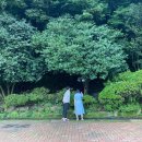 여수시오동도관리사무소 이미지