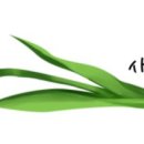 나의 행복을 위한 가족세우기 이미지