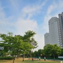 [파크골프채 추천] 2년 동안 직접 써본 솔직 후기! 골프용품 끝판왕 프라임 파크골프채