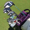 오너스스크린골프(425) | 부천골프샵 여성 드라이버 테일러메이드 캘러웨이 다이와 비교 시타 후 구매한 후기