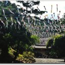 김천중앙초등학교 이미지