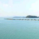 우두농장 이미지