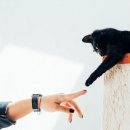 우리아이동물병원 이미지
