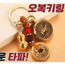 오복운수 이미지