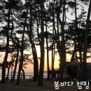 몽산포오토캠핑장 이미지