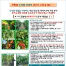 오투에스 이미지