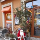 스텔라또 이미지