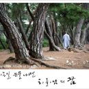 보리다방 이미지