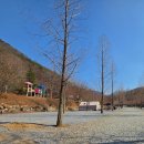 청화목장 | 경북 문경 '리우 캠핑장' - 동물체험부터 계곡까지, 완벽하게 관리된 문경 오토캠핑장 추천