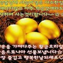 황금오리알 이미지