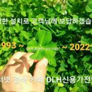늘푸른한식뷔페