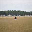 오토케이브