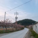 어은돌리솜펜션 | 캠핑 &amp; 갯벌 낙지 잡을 수 있는 낚시 캠핑장 &amp; 깔끔하고 온수 잘 나오는 &#34;어은돌 오토 캠핑장&#34; A구역 후기