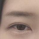 주주브로우
