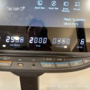 상동한의원 | [운동 기록] 26.01.28 / 30대 여자 상체 근력운동 부천상동PT 후기