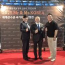Mr토