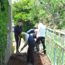 비금동초등학교 이미지