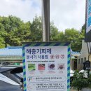 세븐일레븐 논산금강빌리지점 | 국내여행 전북 완주 단풍명소 대둔산케이블카 9월 정보 주의사항