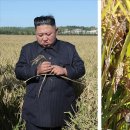 동지농장 이미지