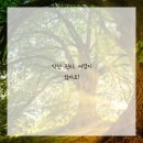 탑바디핏
