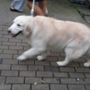 은행초등학교 이미지