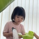 기운메디칼