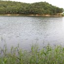 전하낚시 이미지