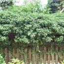 안양우체국 이미지