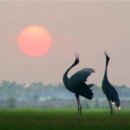 내려놓음 이미지