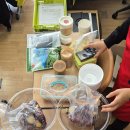 탄금초등학교 이미지