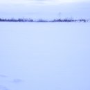 아름다운선 이미지