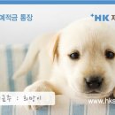 러브마이펫동물병원 서울신문