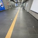 사상체질심리철학 | 영숭이의 1,2월 백수생활