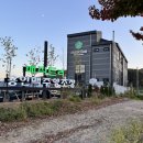 트리아웃 | 수제맥주집 매직트리 양조장 용인기흥점 테이크아웃 후기