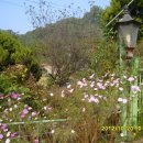 주연농장 이미지