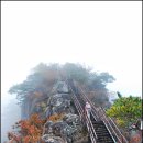 단양숲속의정원민박 | 충북 단양 천국의 하늘정원 제비봉 정상에 오르다.