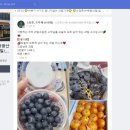 과일소담촌 - 9491 | 과일소담촌