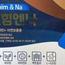 모힘
