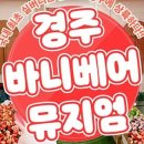 바니베어뮤지엄 이미지