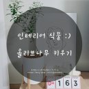 예뜨락화원