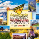 모두여행센터 이미지