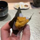 토라스시
