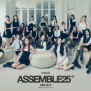 타이에스 이미지