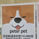 피터펫 카페 안산점 이미지