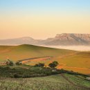 광은농장 이미지